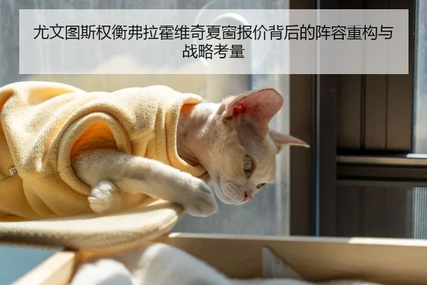 尤文图斯权衡弗拉霍维奇夏窗报价背后的阵容重构与战略考量